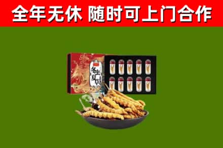 柴桑回收冬虫夏草价格